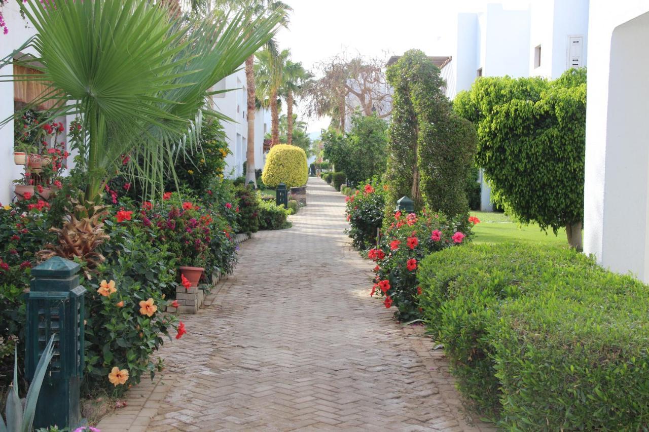 Apartman Delta Vacation